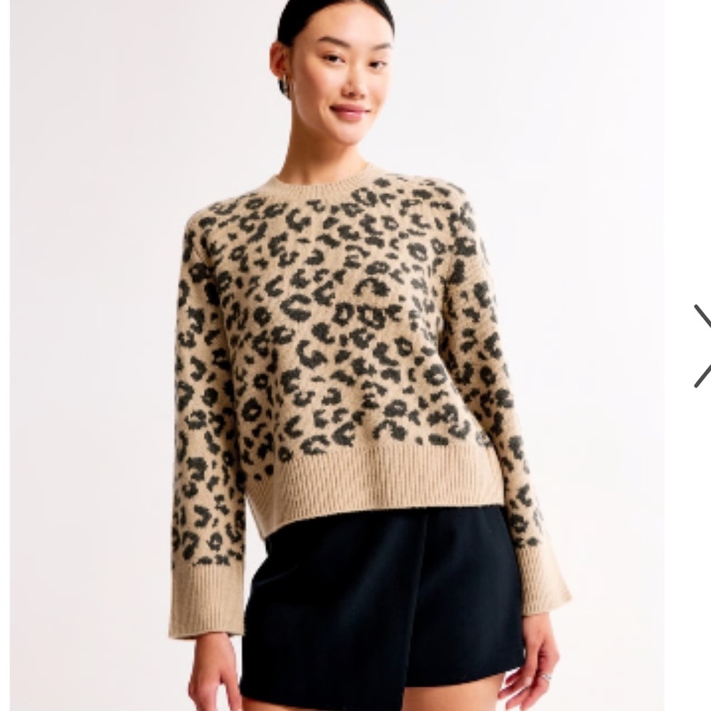 Abercrombie & Fitch Women's Animal Print Sweater - Tan and Black